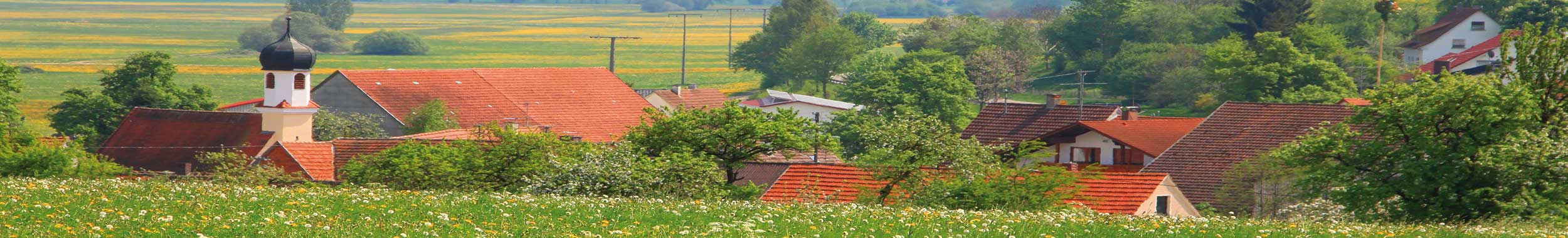 Ansicht auf Emerkingen