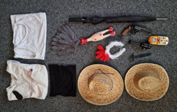 Foto verschiedener Gegenstände der Fasnet