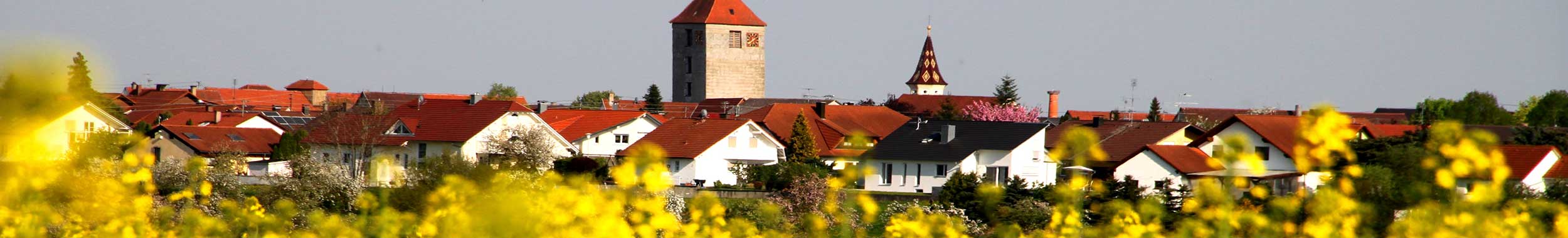 Ansicht auf Emerkingen von Norden